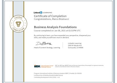 Business Analysis Foundations